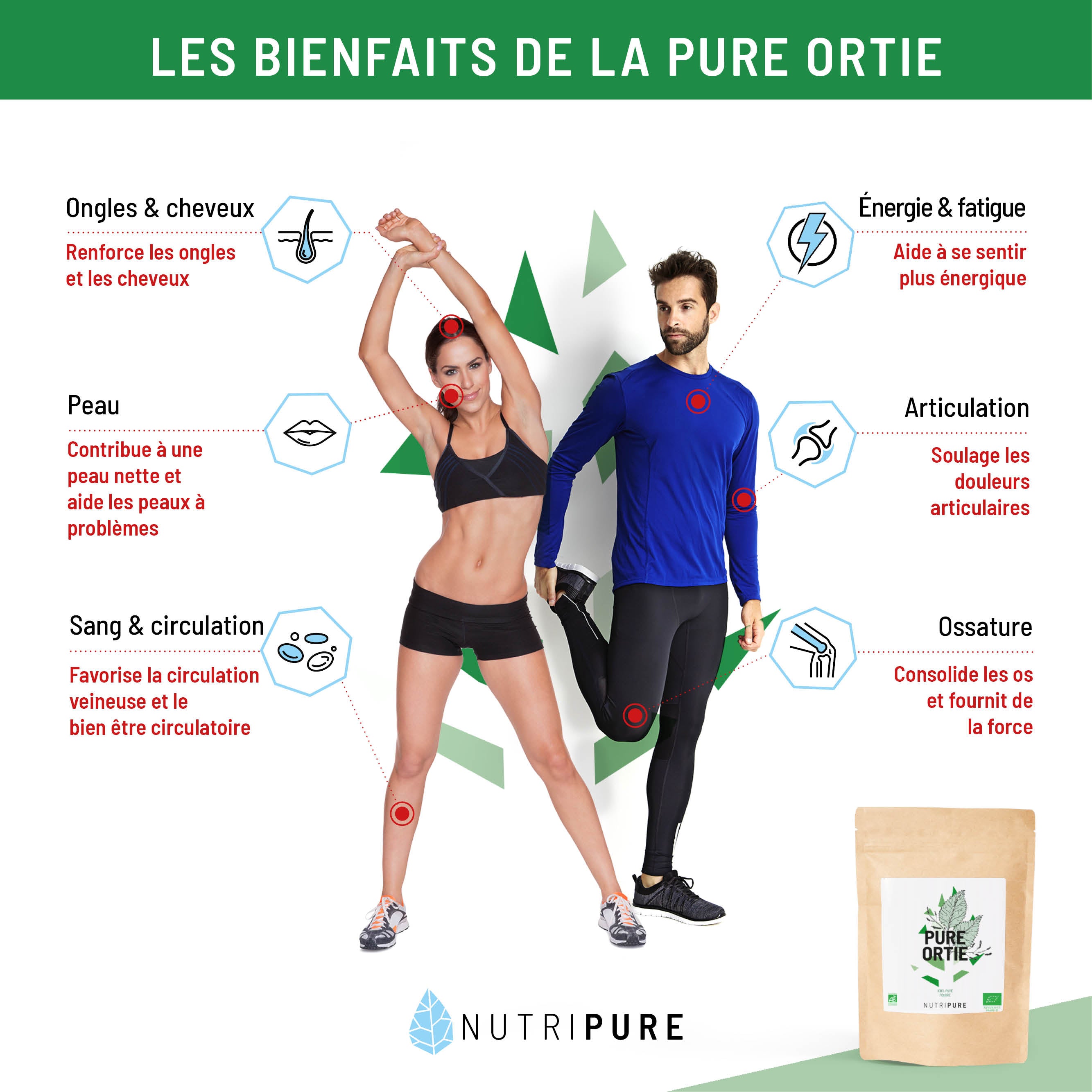 Feuilles d'ortie bio en poudre (150g)
