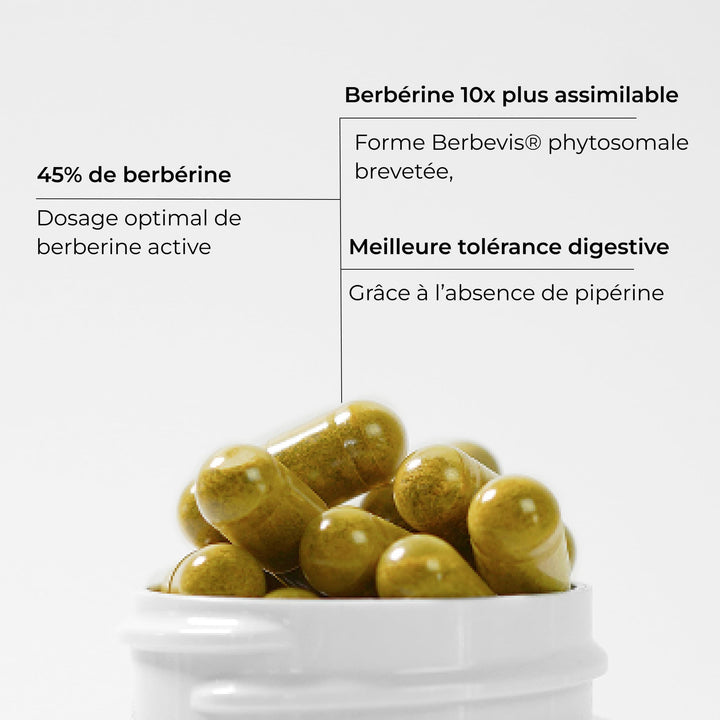 Berbérine (60doses)