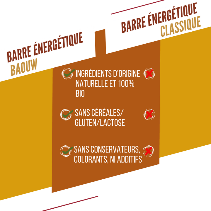 Barres Énergétiques - Mangue/Cajou