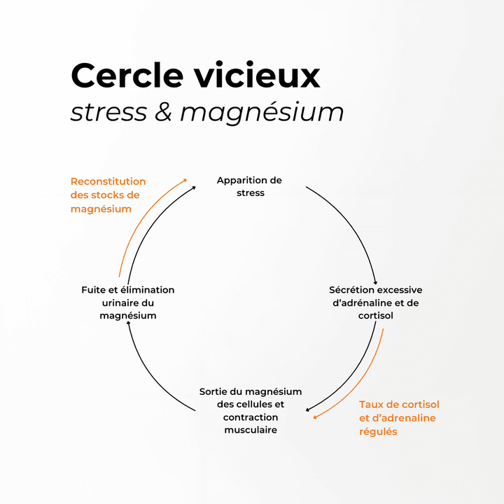 Magnésium Bisglycinate