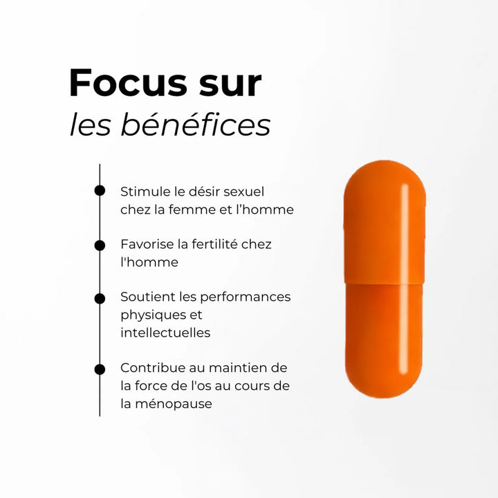 Maca (60 doses)