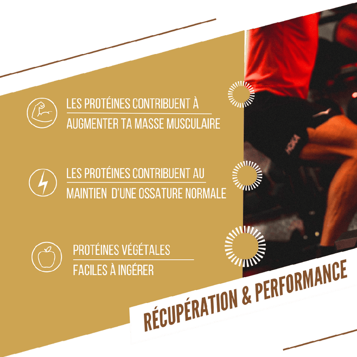 Barres Protéinée - Pomme/Cannelle