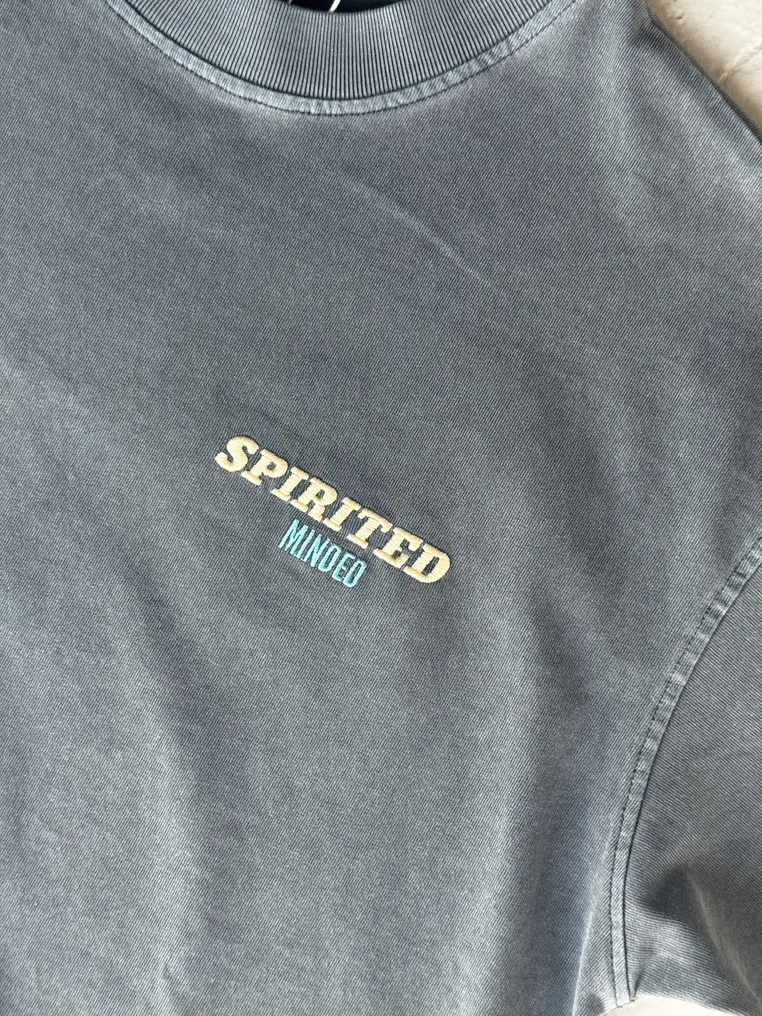 T-SHIRT BRODE OVERSIZE - GRIS