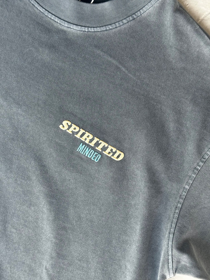 T-SHIRT BRODE OVERSIZE - GRIS