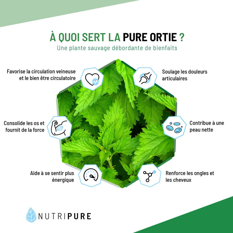 Feuilles d'ortie bio en poudre (150g)