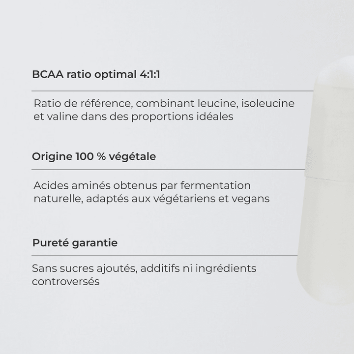 BCAA 4.1.1