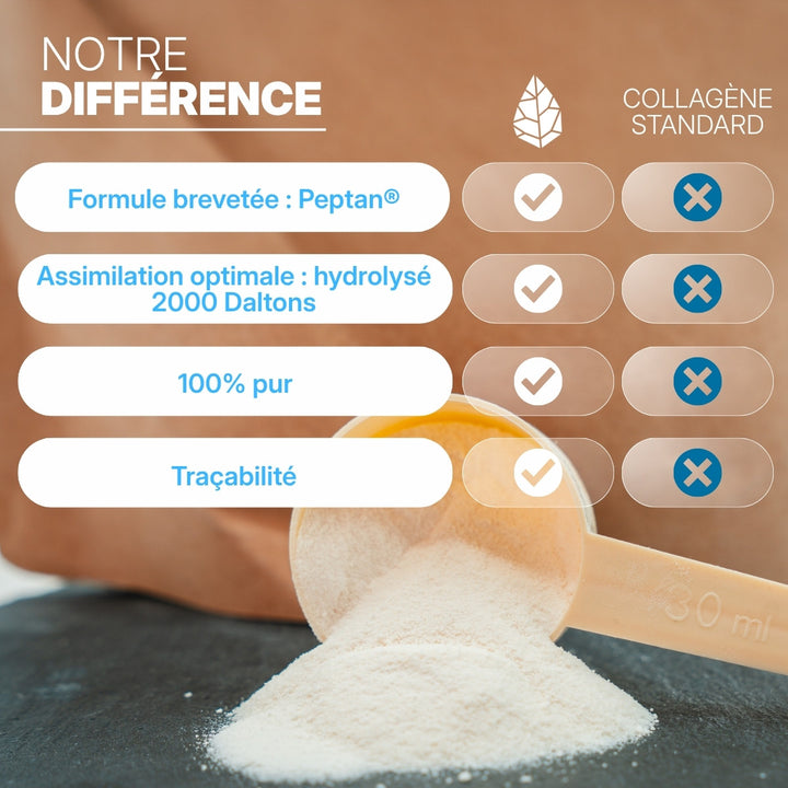 Peptide de collagène Peptan® Neutre – pot 1,2 kg – visuel 4