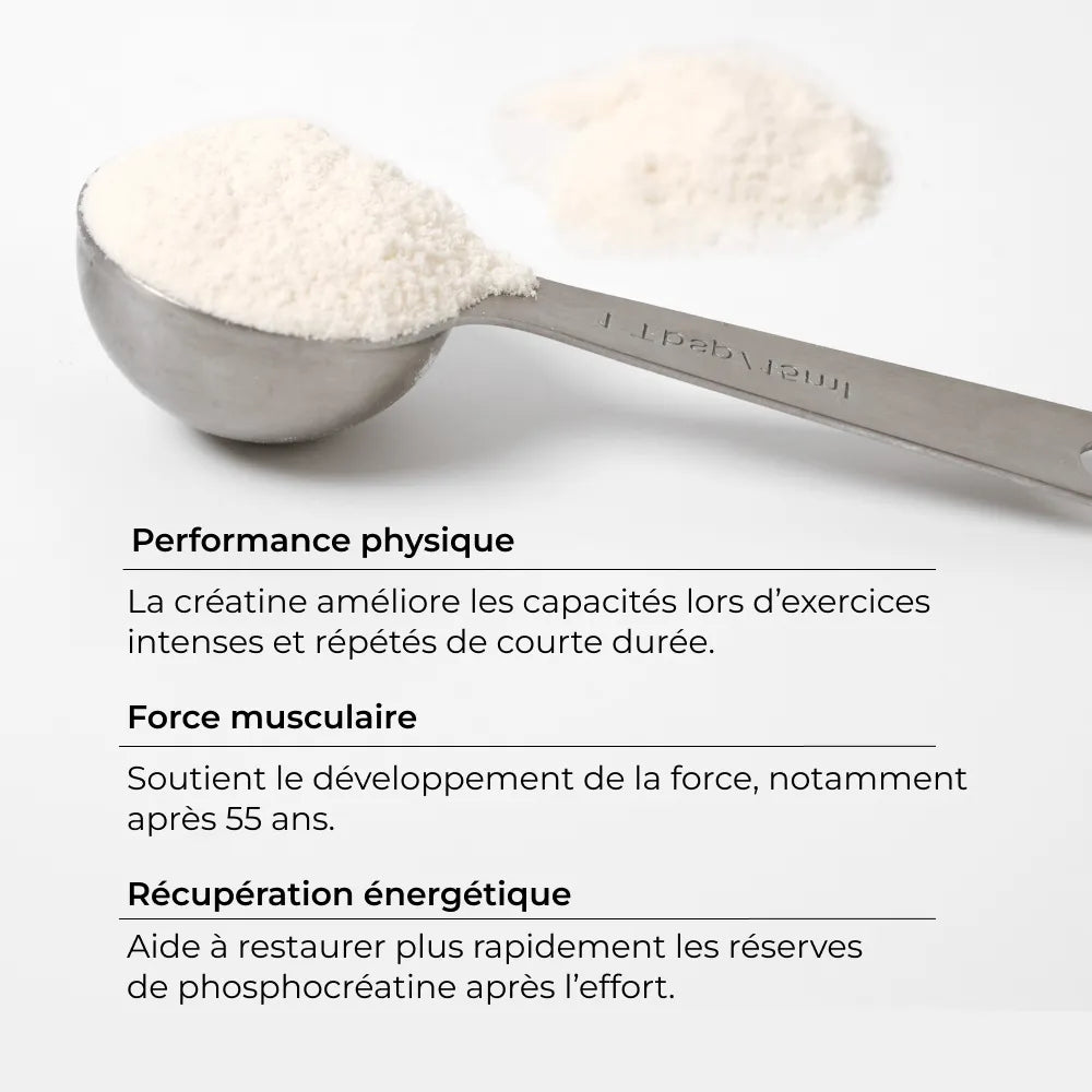 Créatine Creapure 200g