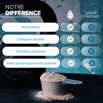 Pure Gainer Chocolat