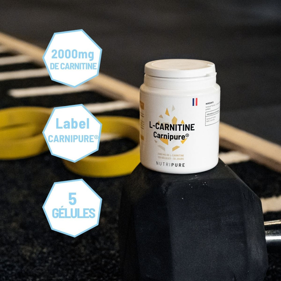 L-Carnitine Carnipure® – visuel 6