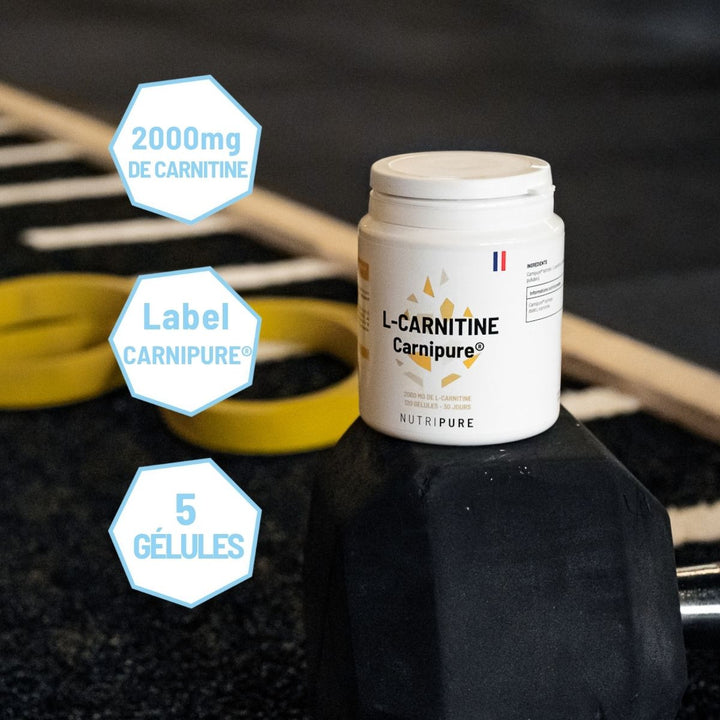 L-Carnitine Carnipure® – visuel 6