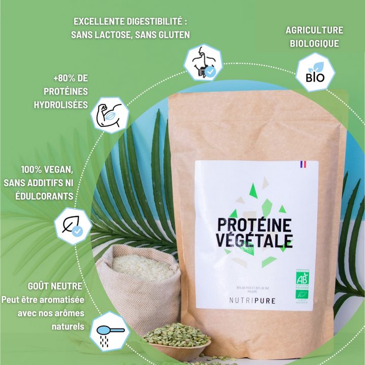 Protéine végétale bio Chocolat 750 g – visuel 4