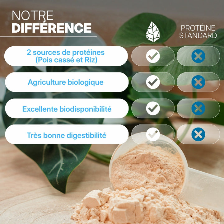 Protéine végétale bio 2 kg – visuel 4