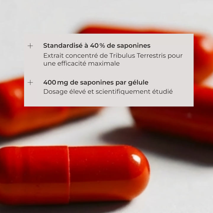 Tribulus Terrestris (60doses)